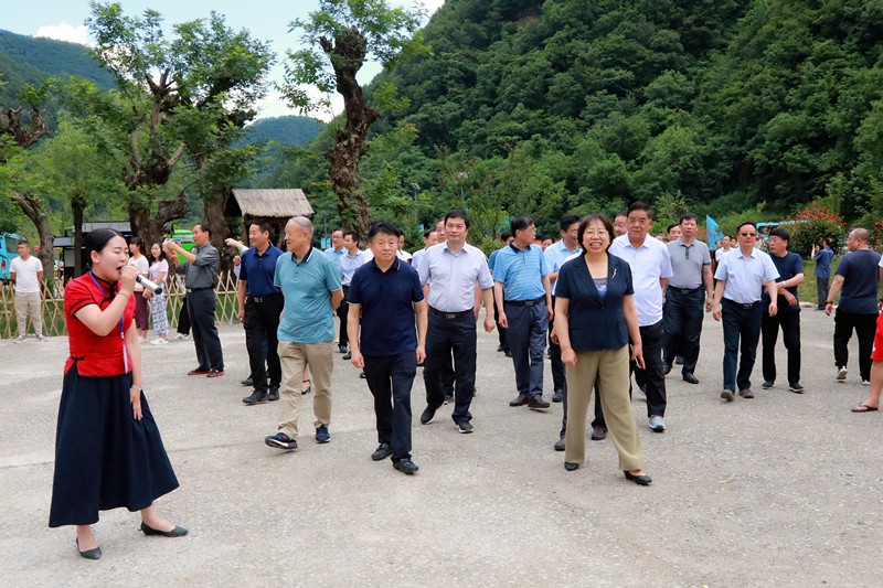 熊良虎在商洛市决咨委特邀顾问座谈会上表示:当好"看山人"捧好"金饭碗